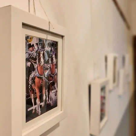 شقة Ca' Di Rosy إيفريا